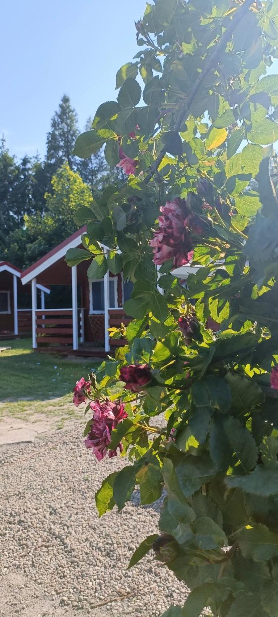 Na Zaciszu Villa Dziwnówek Eksteriør bilde